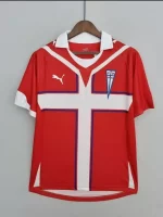 ヴィンテージ T シャツ カタリカ大学 2010